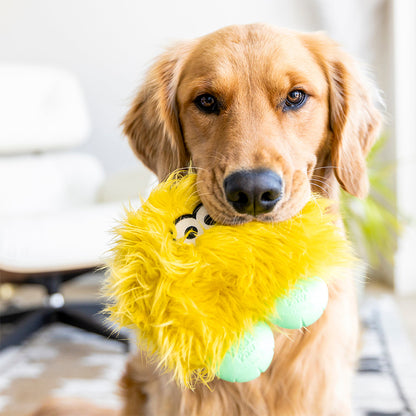 WEST PAW Rowdies Durable Plush Dog Toys
