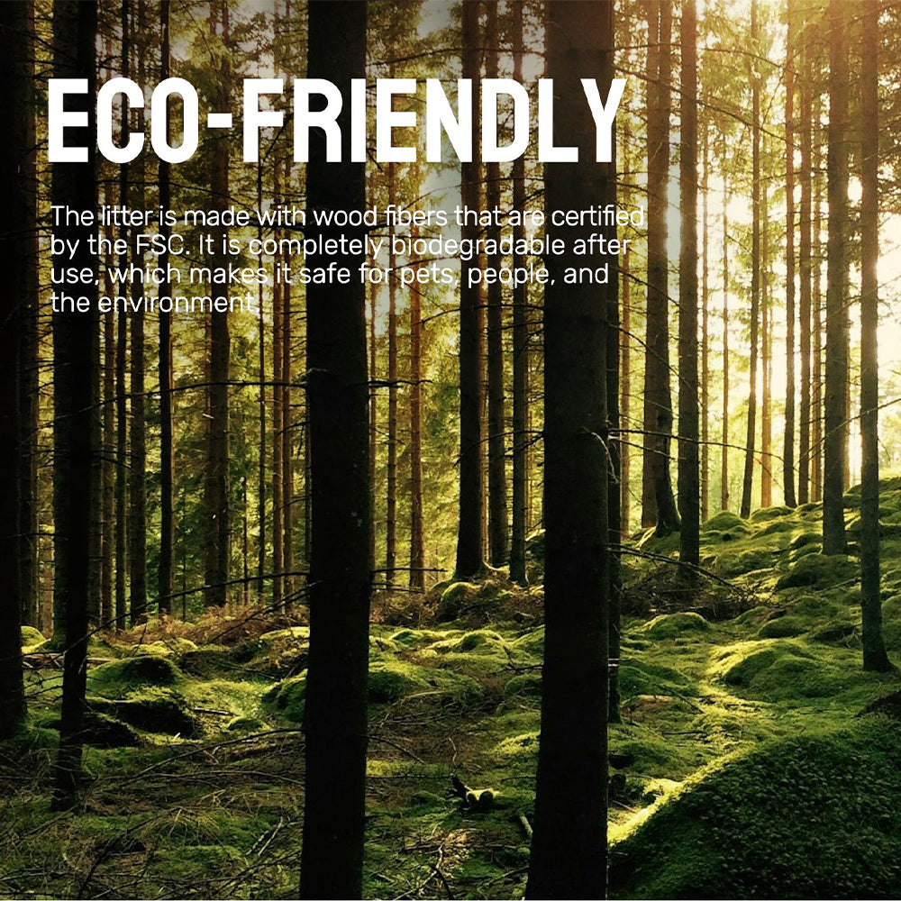 CATURE Carbon Odour Control Plus Wood Clumping Cat Litter 2.4kg/6L