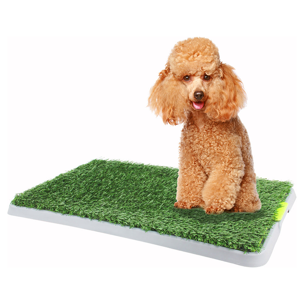 PAWISE Green Dog Trainer Toilet 68 x 42cm