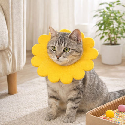 Sunflower Pet Recovery Cone Elizabethan Collar