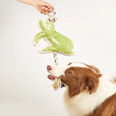 FOFOS Teething Flossy Rope With Sloth Dog Toy