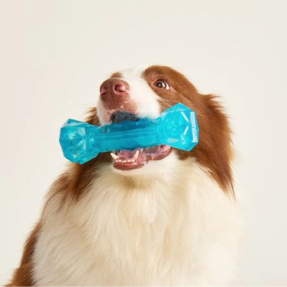 Dogs Toys for Summer Cooling Frozen Dog Toys Full with Water