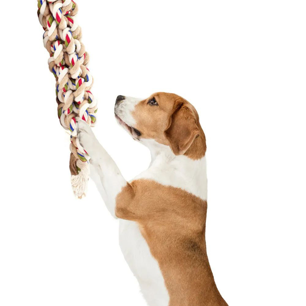 FOFOS Teething Flossy Braided Rope Dog Toy | Dog Toy | Petso Au