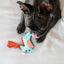 FOFOS Alligator Plush Squeaky Puppy Dog Toy