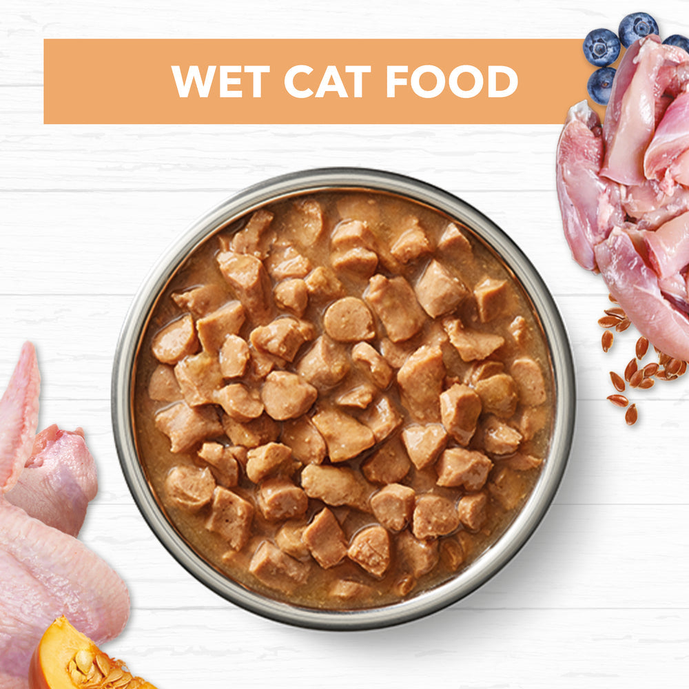 IVORY COAT Chicken in Gravy Cat Food for Kittens12x85g