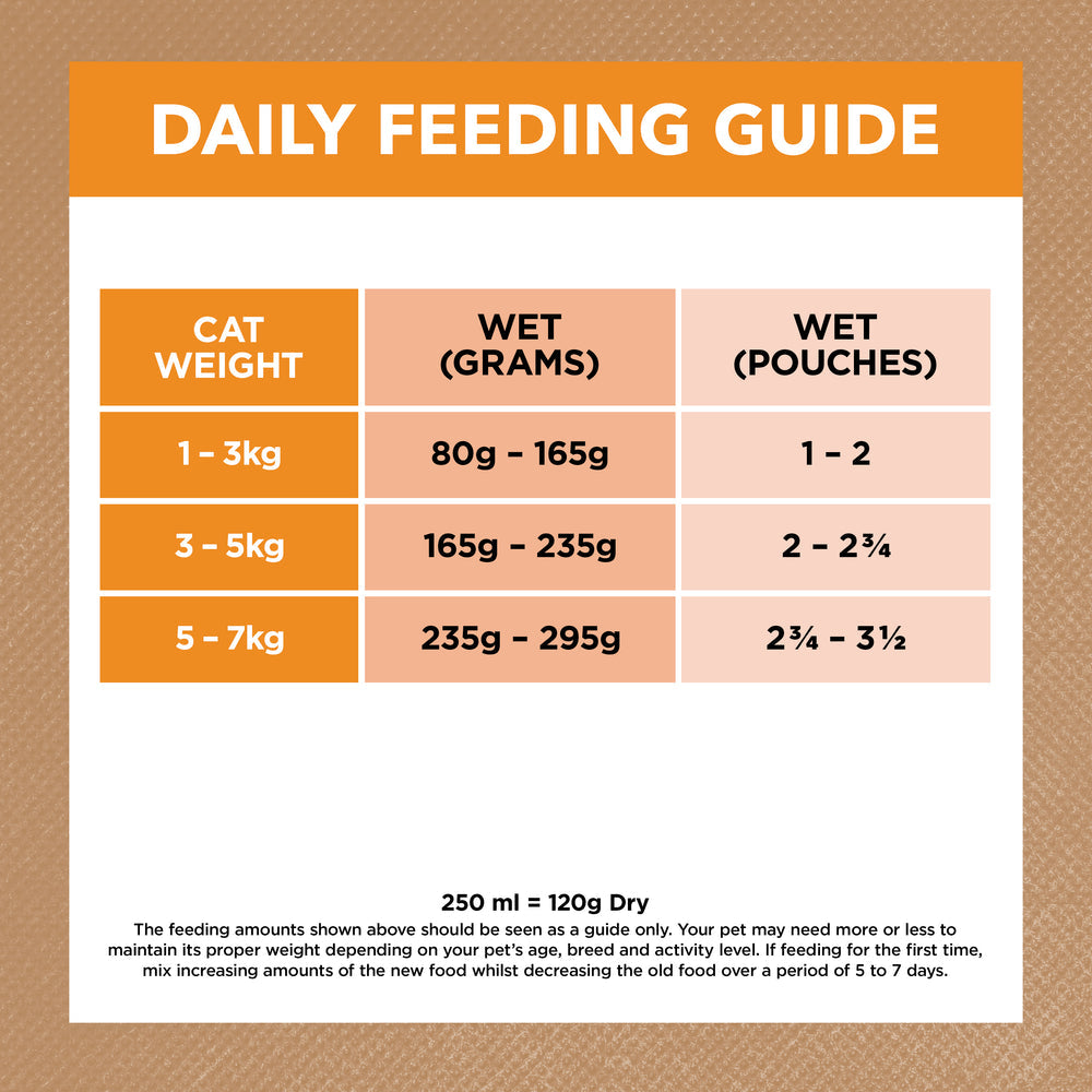 IVORY COAT Grain Free Chicken Gravy Adult Wet Cat Food 85g x 12