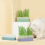 PAKEWAY Green Cat Grass Pot with 2pcs bags of Wheat Seed Green