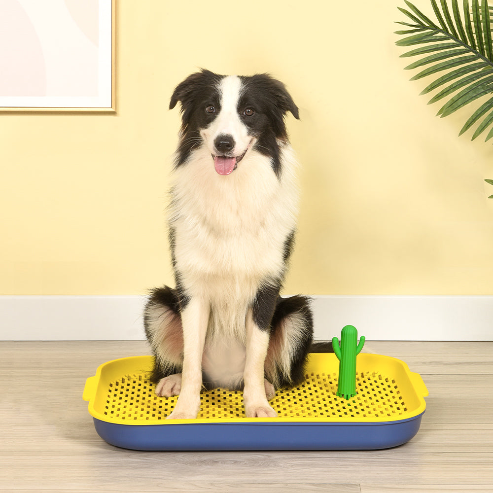 PAKEWAY Yellow Cactus Dog Toilet Training Pad