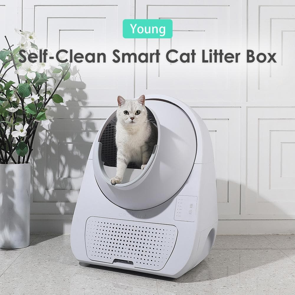 Kitty Litter Tray Are Cats Automatically Litter Trained Litter