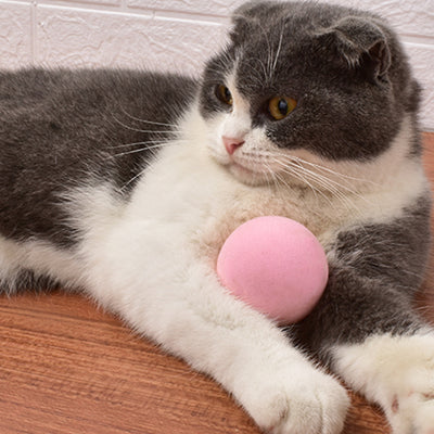 PETGRAVITY Bird Smart Interactive Animal Sound Squeaking Ball Cat Toy