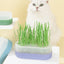 PAKEWAY Cyan Cat Grass Pot with 2pcs bags of Wheat Seed Cyan