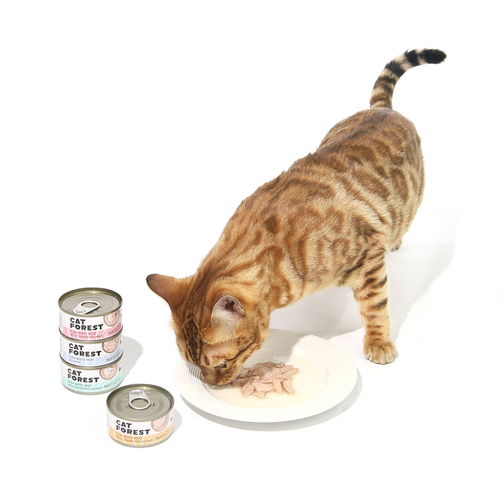 CAT FOREST Classic Tuna White Meat with Seabream in Gravy Canned Cat Food