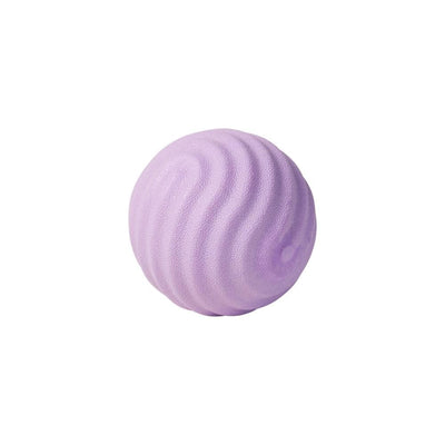 Pidan Purple Wave Dog Toy Ball