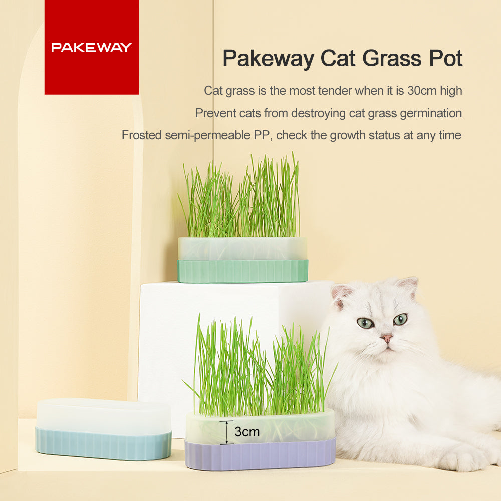 PAKEWAY Cyan Cat Grass Pot with 2pcs bags of Wheat Seed Cyan