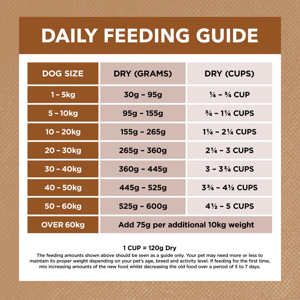 IVORY COAT Lamb & Kangaroo Grain Free Dog Food for Adult Dogs 2kg