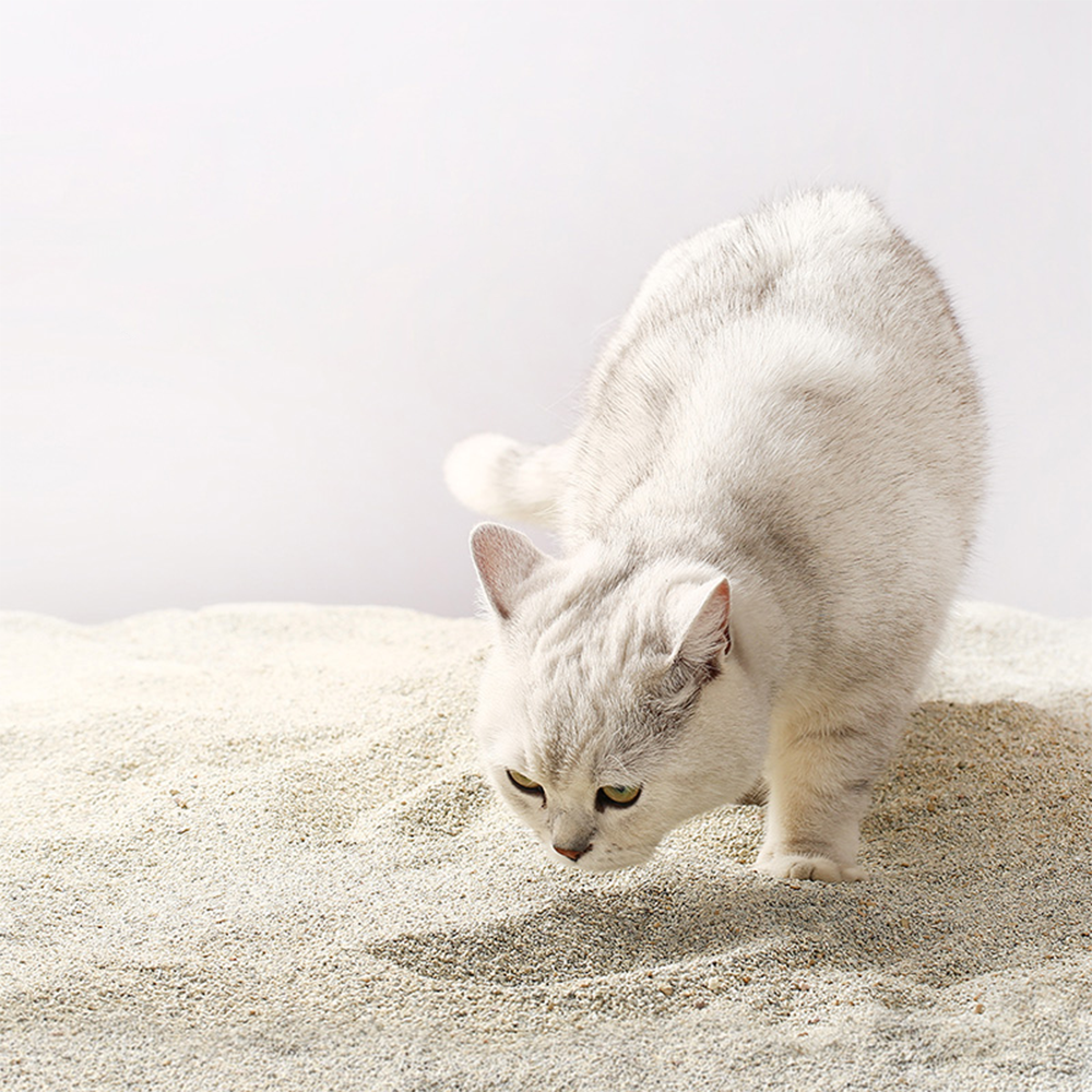 CATLINK USA Nudge Bentonite Cat Litter Mars Stone 4.5kg