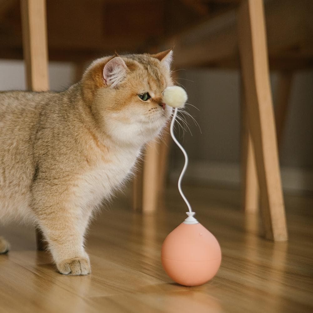 PIDAN Balloon Cat Toy - Pink - Petso Online 