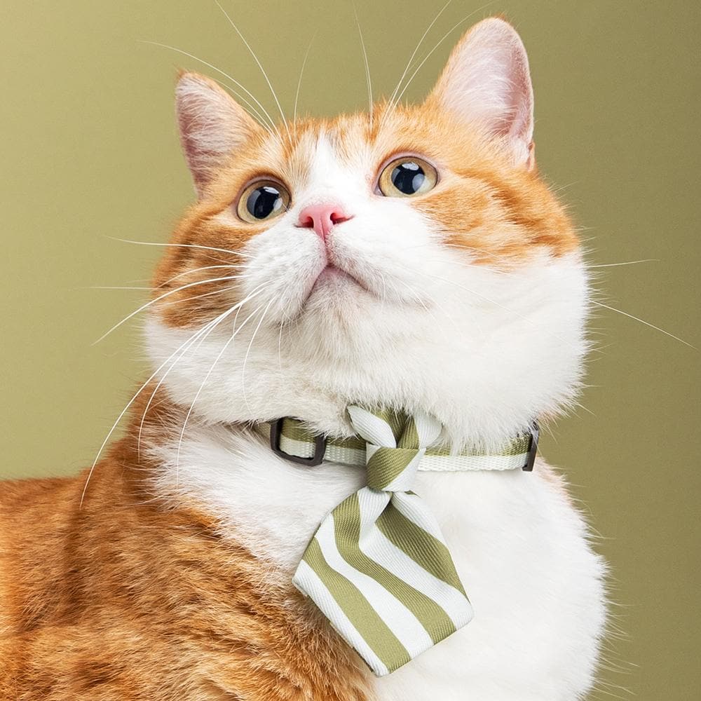 PIDAN Green Stripe Cat Necktie