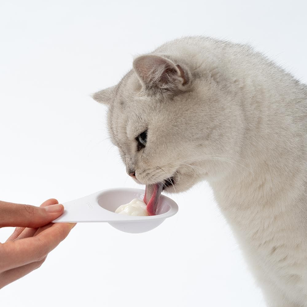 PIDAN Pet Liquid Snack Feeder (Q Spoon) - Petso Online 