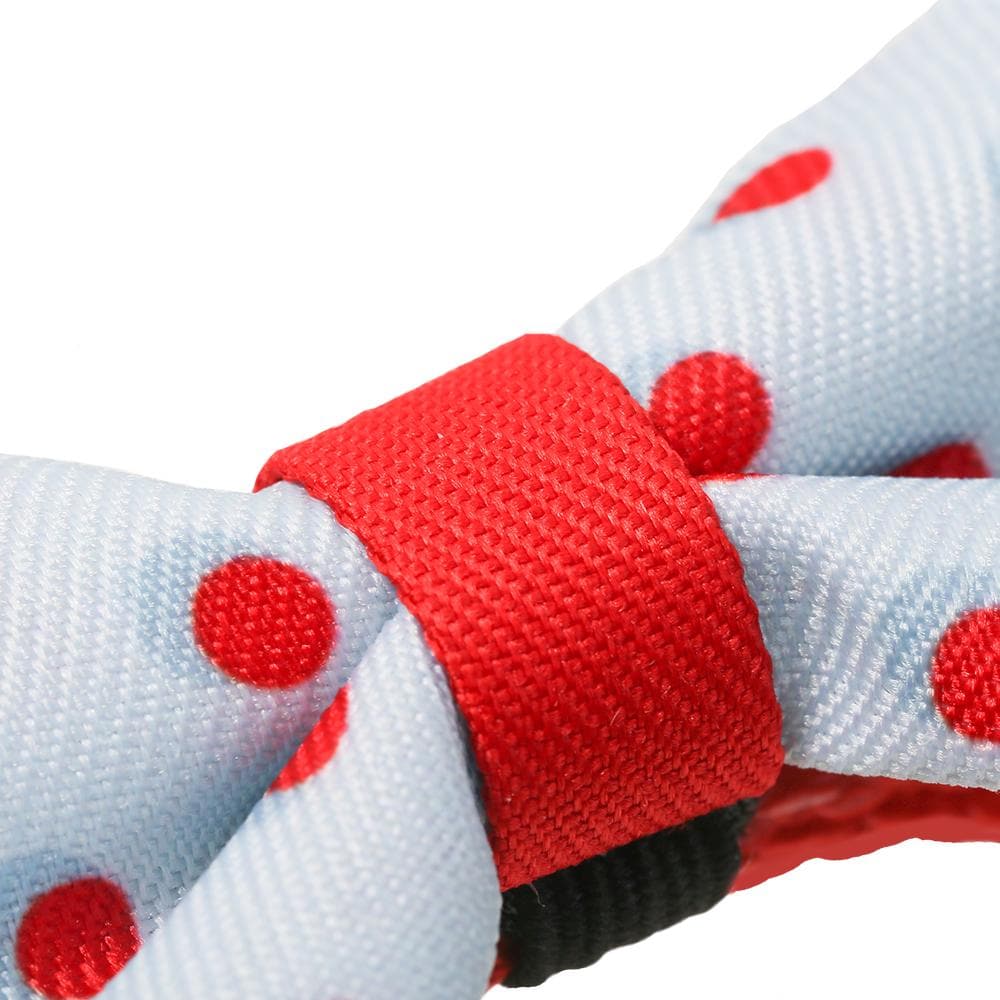 PIDAN Bow Tie Collar - Cat - A6 - Petso Online 
