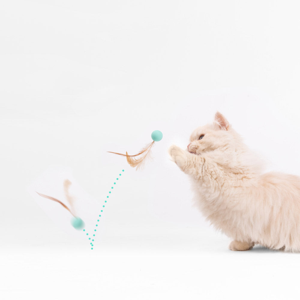 PIDAN Bouncy Balls Cat Toy 3 Pieces