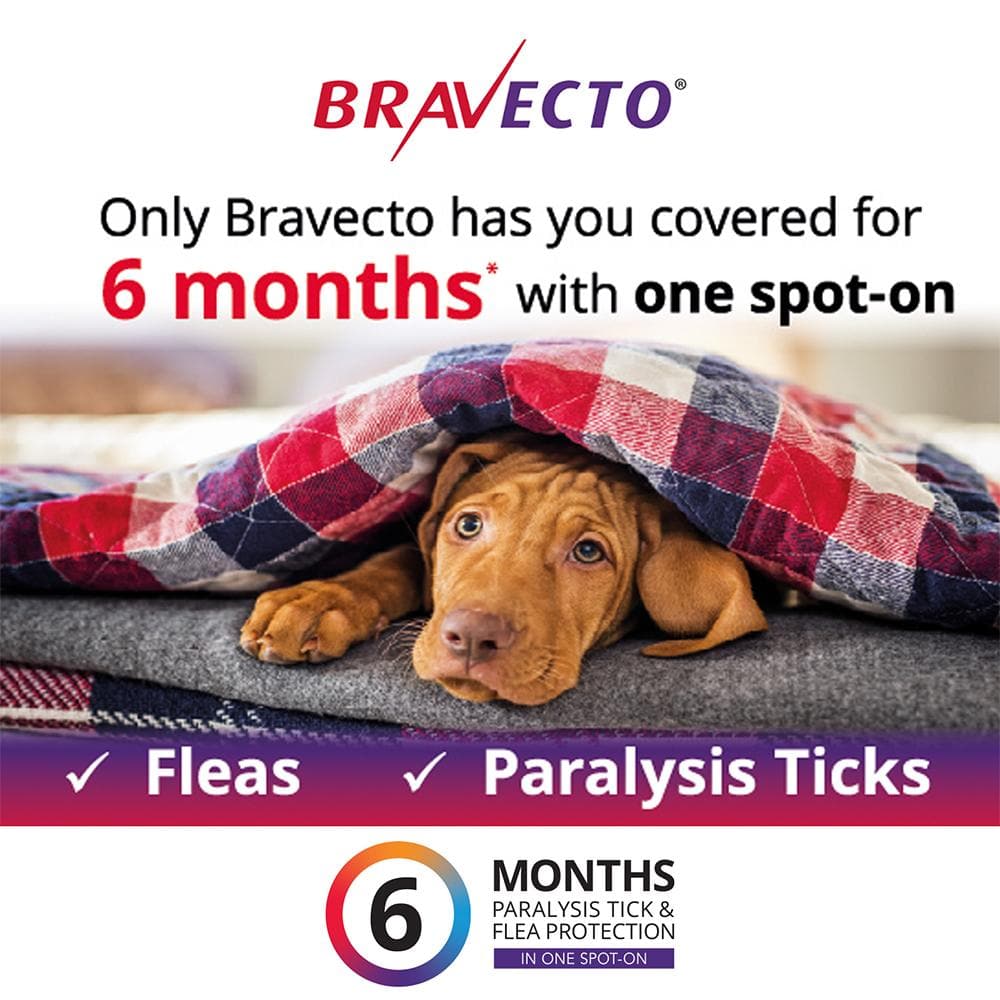 BRAVECTO Fleas & Ticks Management for small dogs (4.5-10kg) 1 pipette