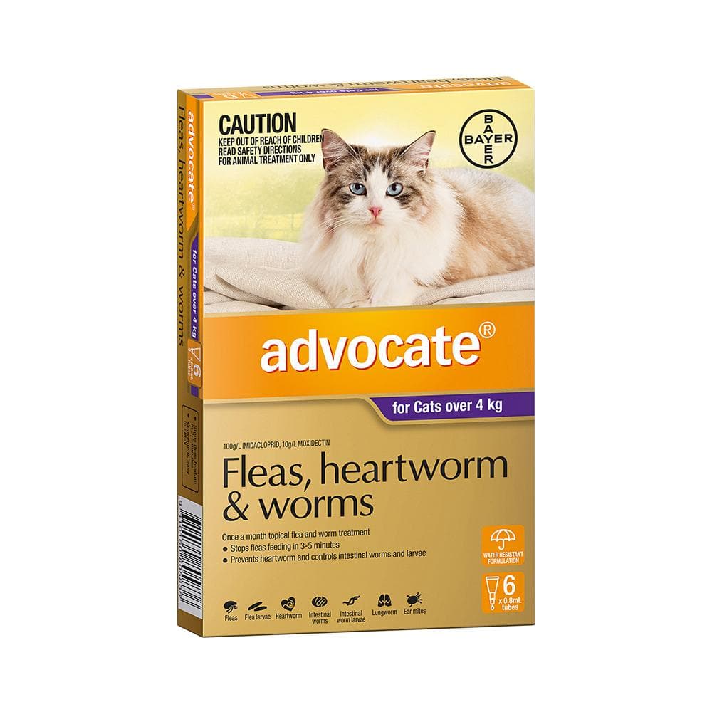 ADVOCATE Flea & Dewormer Treatment for Cat (over 4kg) 6 tubes