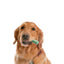 ORAVET Dog Dental Hygiene Chews (11-23kg) 822g