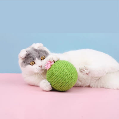 HANHANLE Catnip Sisal Ball Cat Toy