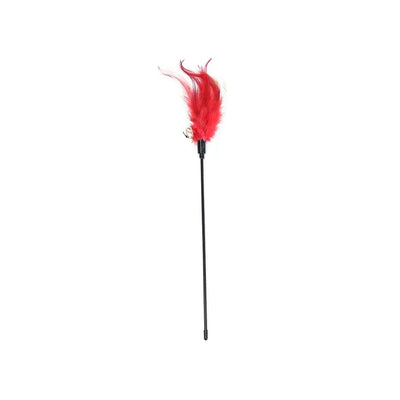 KARA PET Red Feather Cat Teaser Toy