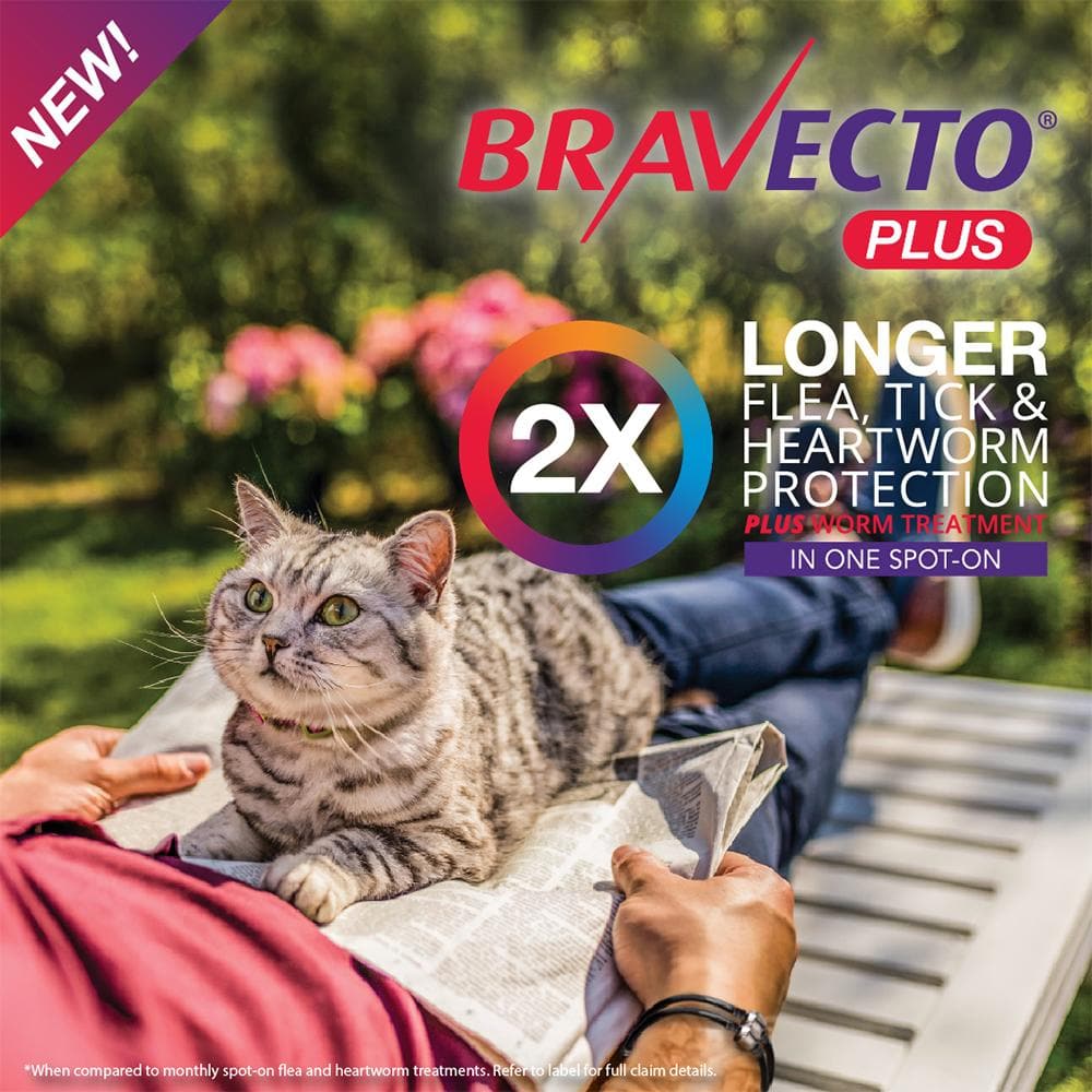 BRAVECTO Plus For Medium Cats 2.8-6.25kg 1 pipette