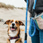 ZIPPY PAWS Forest Green Adventure Dog Treat & Training Walking Bag