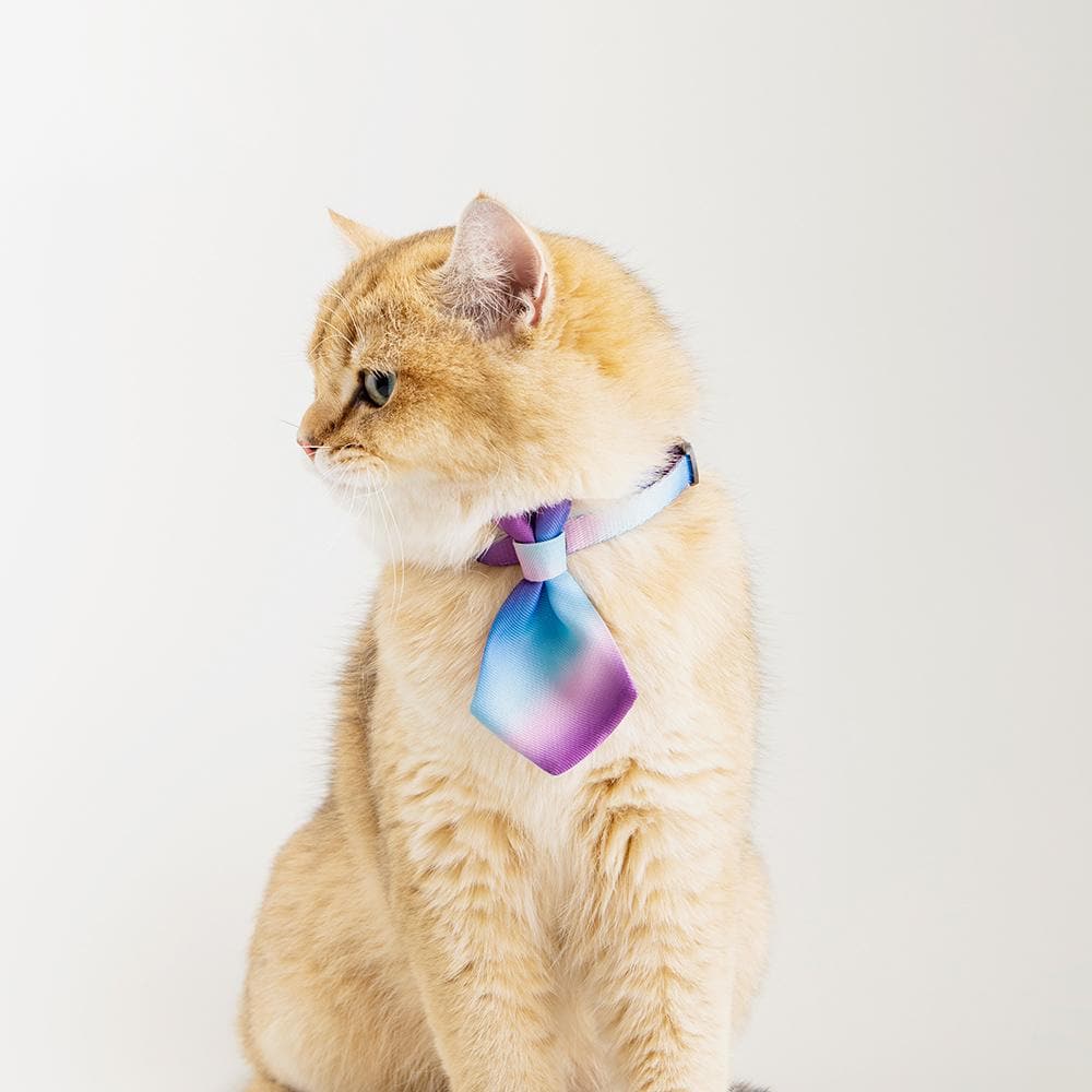 PIDAN Purple Wave Cat Necktie