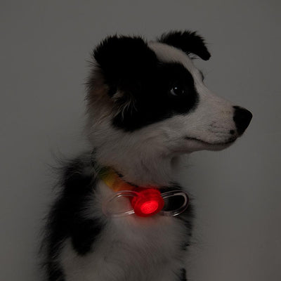 PIDAN Safety Light for Dogs