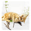 GREPETS Silver Vine Kitten Catnip Elongated Dental Sticks 5pcs