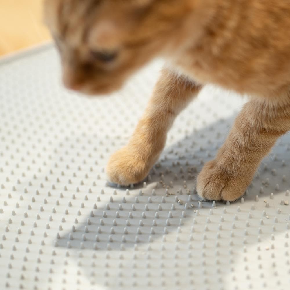 PIDAN Cat Litter Mat - Grey - Petso Online 