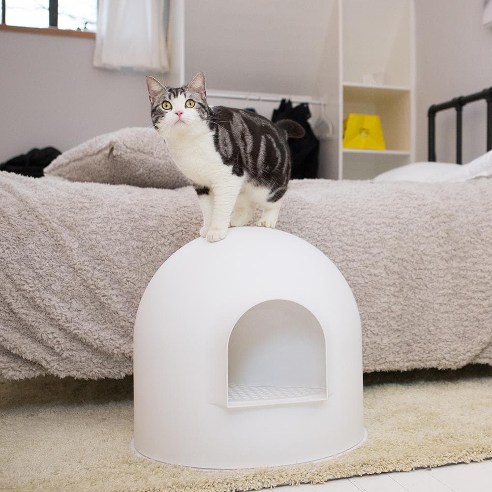 PIDAN Igloo Cat Litter Box - White - Petso Online 