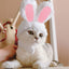 KARA PET Mini Rabbit Ears Hat For Cat