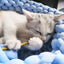 GREPETS SilverVine Kitten Catnip Dental Sticks 15pcs