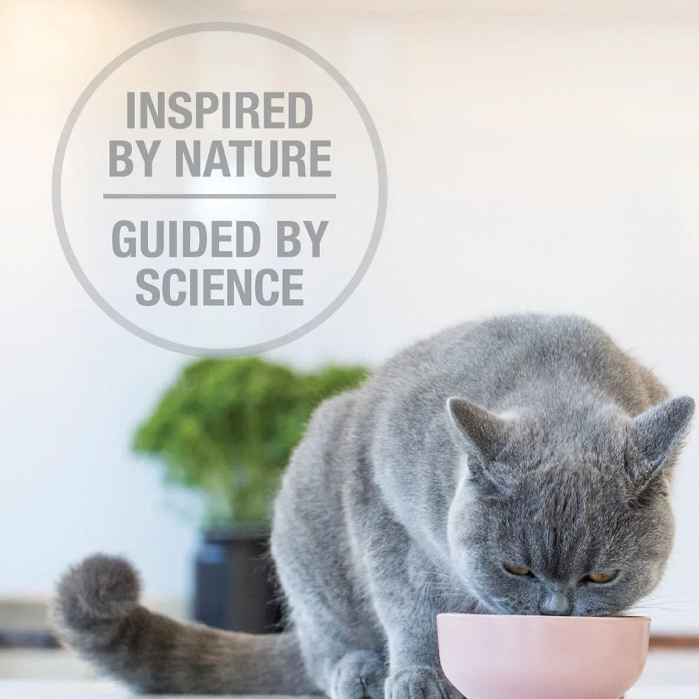 Image showcasing FELINE NATURAL Lamb Freeze Dried Cat Food 320g | Cat Foods | Petso Au