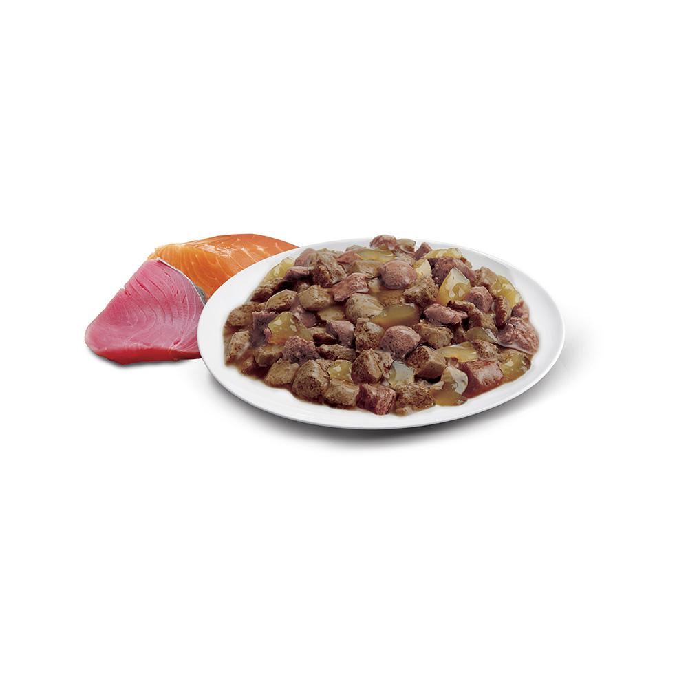 ADVANCE Ocean Fish Jelly Cat Food for Adult Cats 12x85g