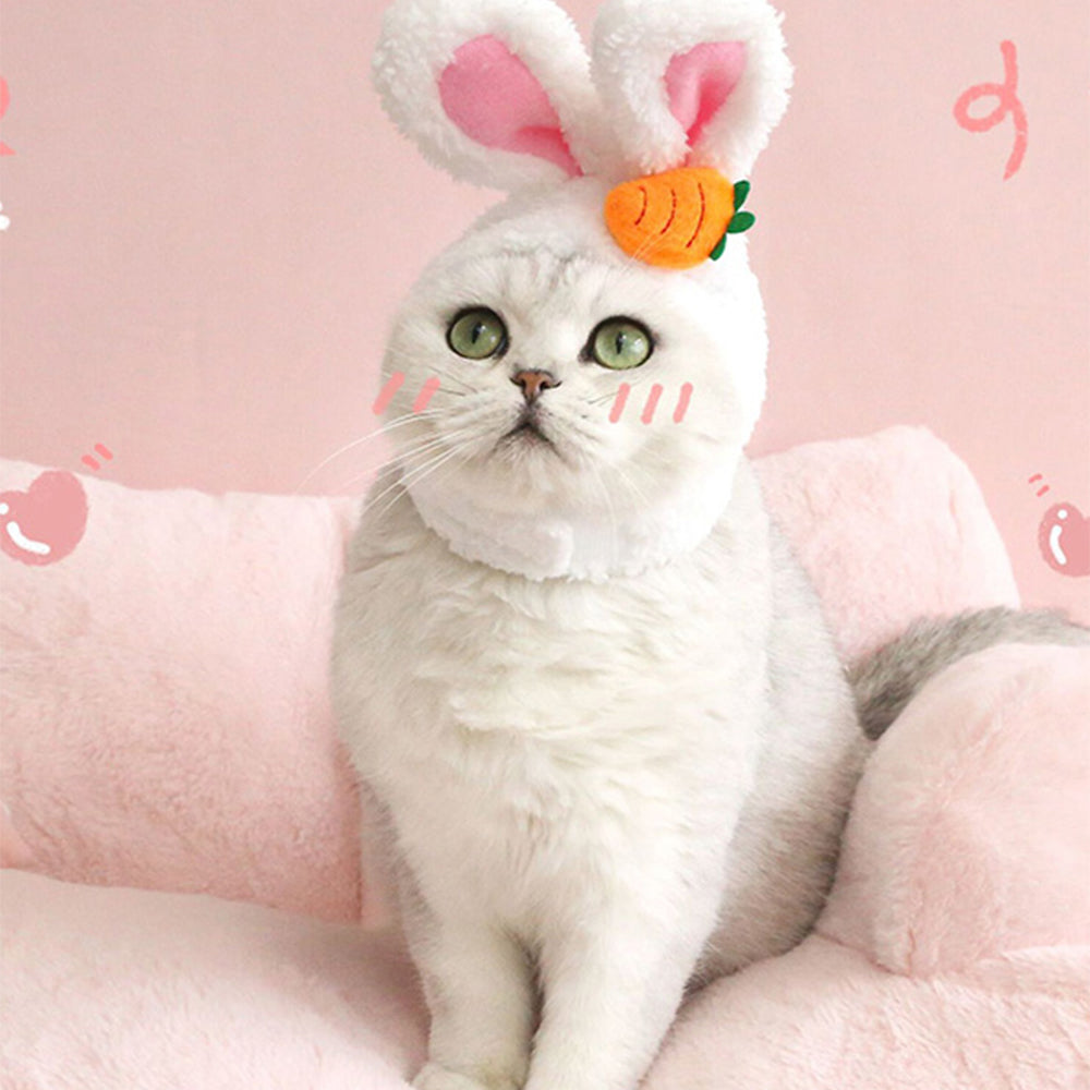 Carrot Rabbit Ears Hat For Cat (28-35cm)