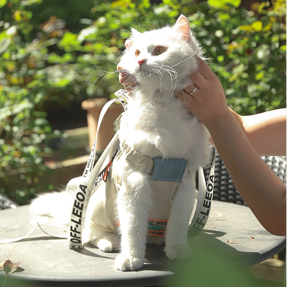 Morandi Backpack Morandi Medium Backpack Pet Carrier | Pet Travel Carriers | Petso Au