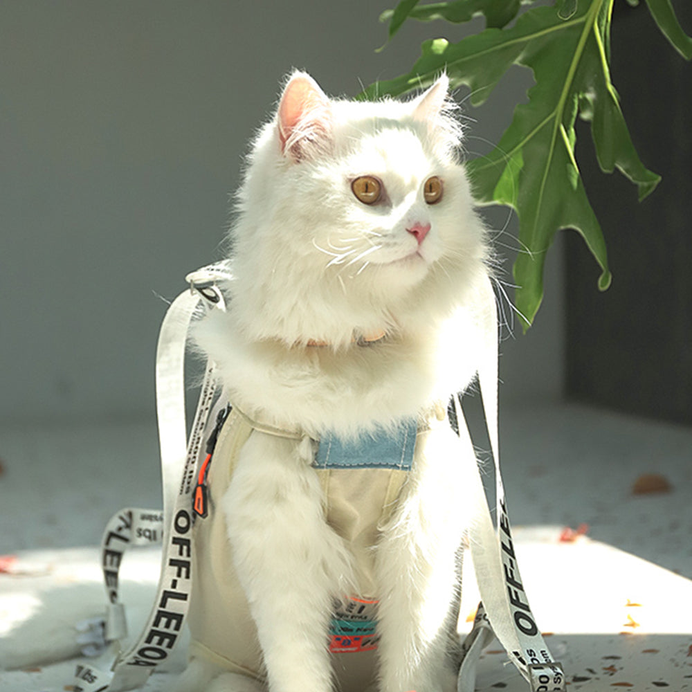 Morandi Backpack Morandi Large Backpack Pet Carrier | Pet Travel Carrier | Petso Au