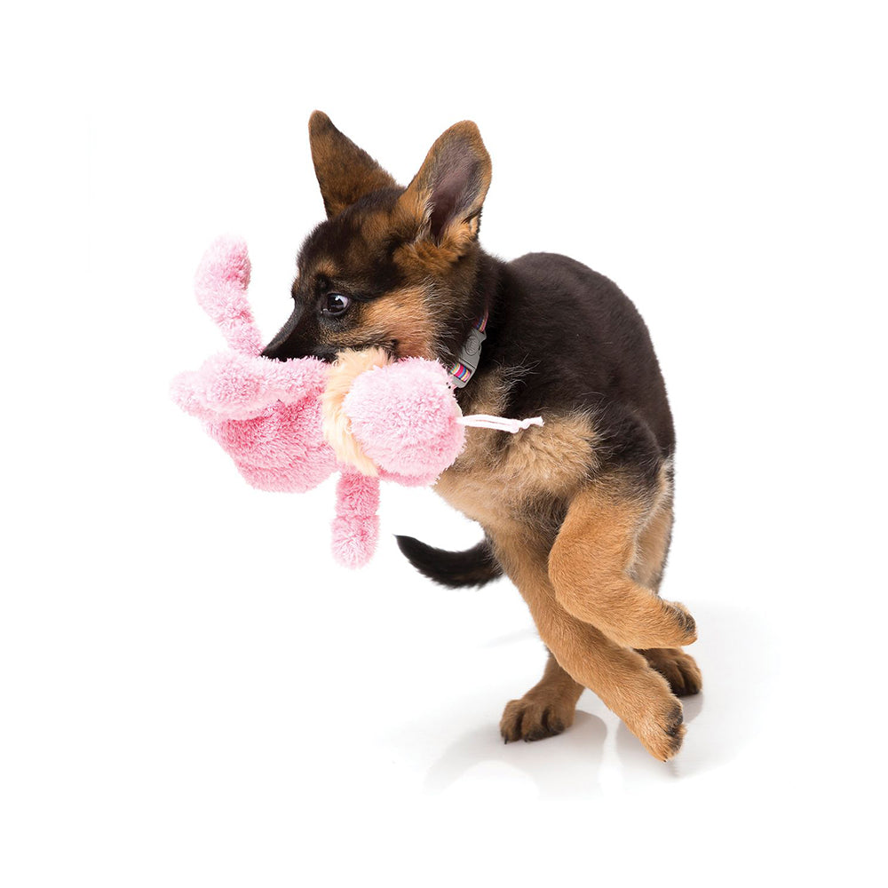 FUZZYARD Pink Flea Scratchette Dog Toy (large)