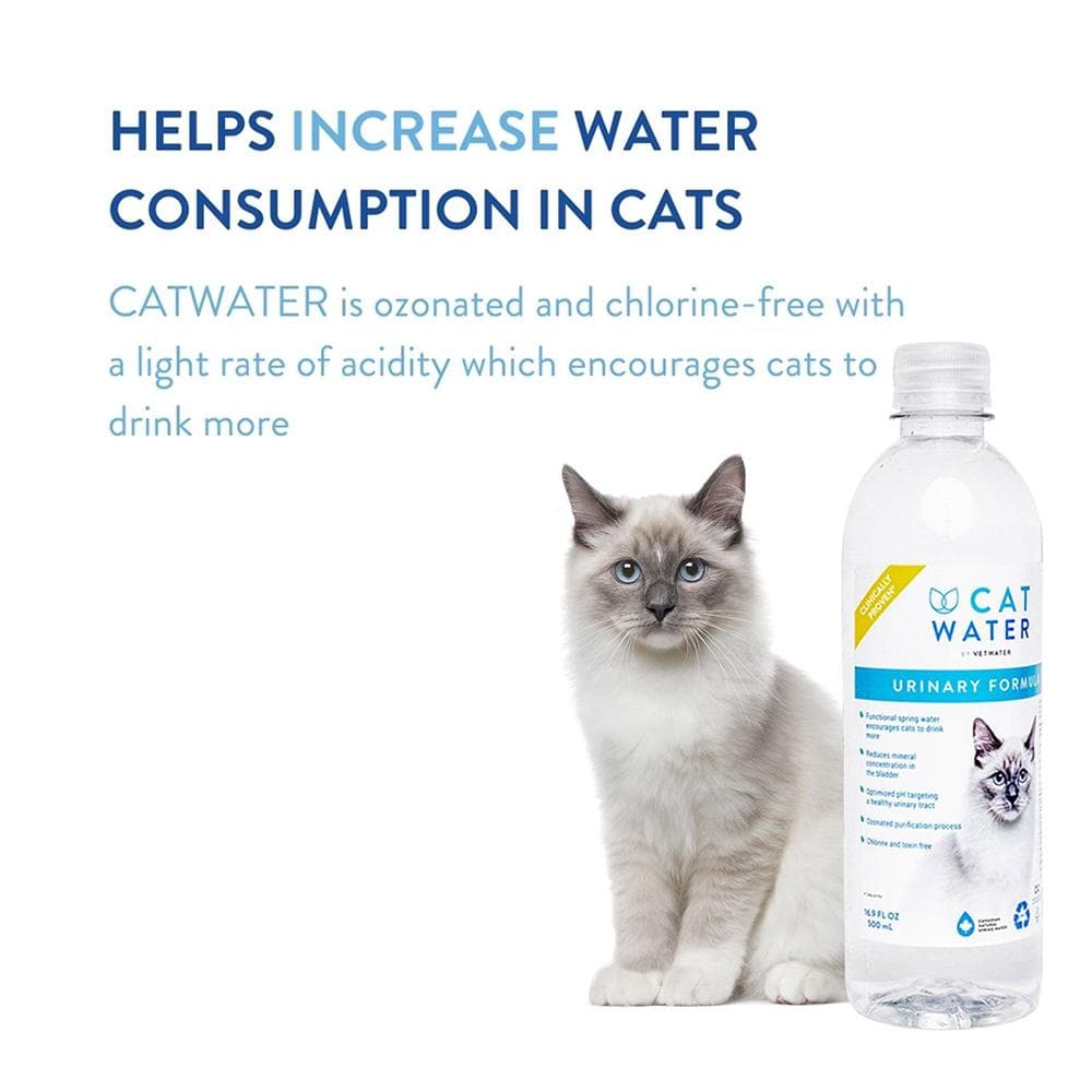 【Expiry-29/03/2024】VETWATER Cat Water 4Lt PH Balanced