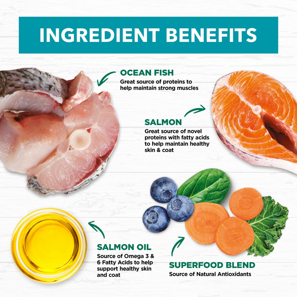 IVORY COAT Grain Free Ocean Fish & Salmon Adult Cat Food 2kg