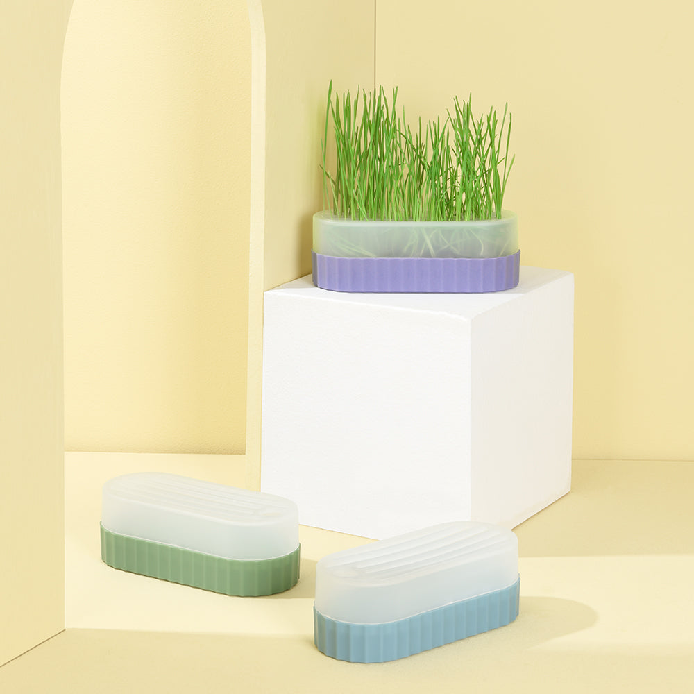 PAKEWAY Green Cat Grass Pot with 2pcs bags of Wheat Seed Green
