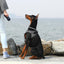 PETKIT Air Fly Large Dog Harness