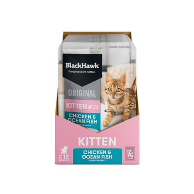 BLACK HAWK Original Chicken & Oceanfish in Gravy Kitten Wet Cat Food 85g x 12